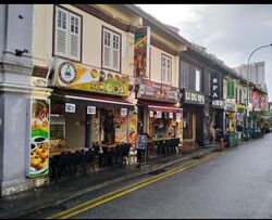 Little India Conservation Area (D8), Shop House #526637811